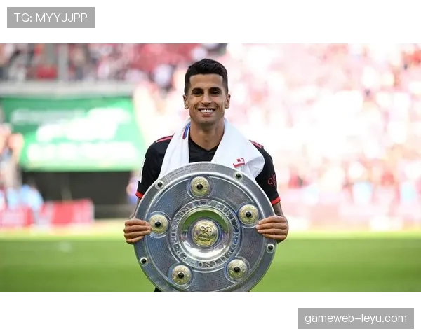 坎塞洛本赛季攻防表现稳健,影响力持续提升 坎塞洛本赛季攻防表现稳健,影响力持续提升